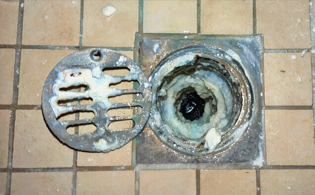 https://blockeddrainswestminster.com.au/uploads/2025/07/blocked-shower-drains-33151.jpg