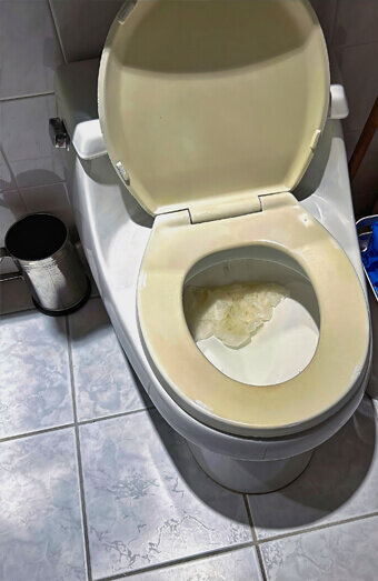 https://blockeddrainswestminster.com.au/uploads/2025/07/blocked-toilet-27293.jpg